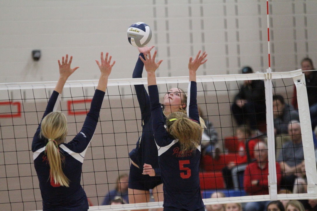 York vs. Platteview volleyball 18.jpeg